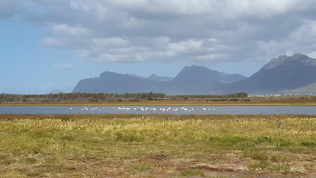La Mer Seafront Selfcatering Accommodation Kleinmond ภายนอก รูปภาพ
